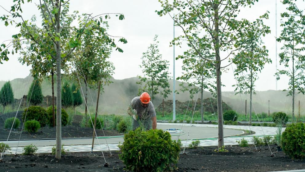 В Ставрополе на бульваре имени Щипакина появится тундра, тайга, степи и пустыни