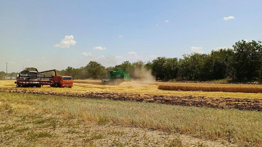 Губернатор Владимиров: на Ставрополье в 2025 году собрали 10,6 млн тонн зерна