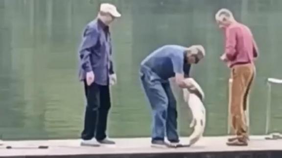 На Курортном озере в Железноводске заметили рыбаков с крупным уловом