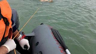 Найдено тело пропавшего месяц назад рыбака в Левокумском районе