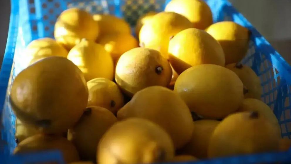 На Ставрополье объяснили рост цен на овощи и детское питание