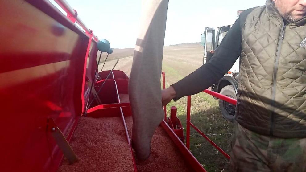 Элитное семеноводство на Ставрополье получит более 85 миллионов рублей поддержки из краевого бюджета