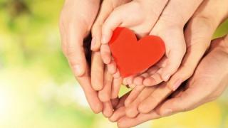 Ставрополь отметит День семьи, любви и верности большим праздником