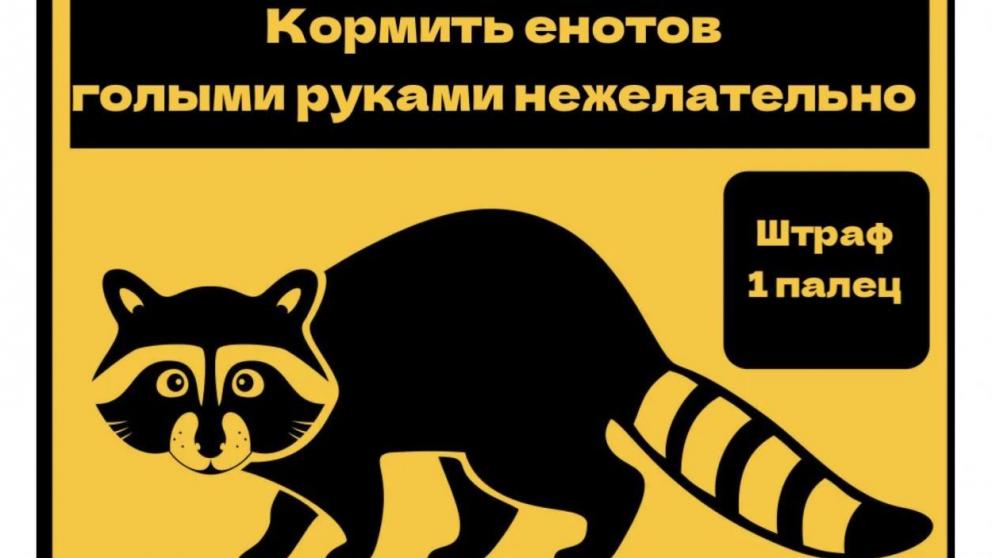 В Железноводске гостей и жителей города предупредили о кусающих енотах