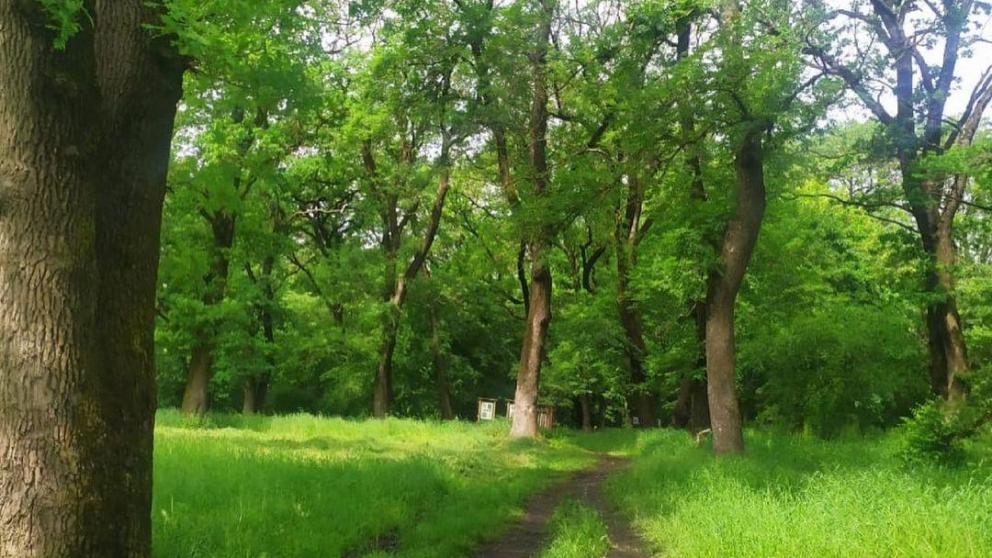 Эммануэльевское урочище как особо охраняемая природная территория отметит 5-летие