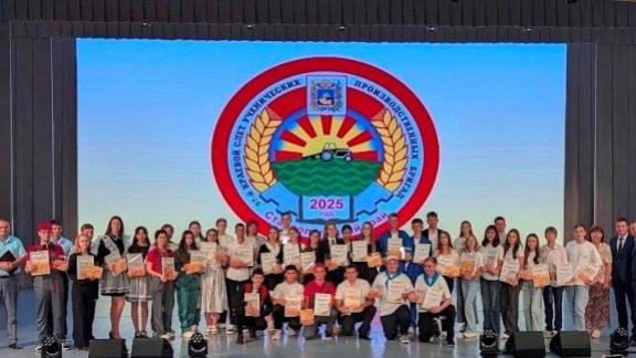 Лучшие ученические бригады определили на Ставрополье