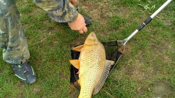 В Предгорном округе отпразднуют День рыбака