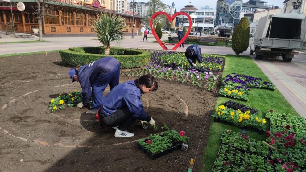 В Кисловодске на четверть увеличили финансирование работ по озеленению города