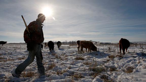 Аграрии Ставрополья обеспокоены судьбой урожая из-за сильных холодов