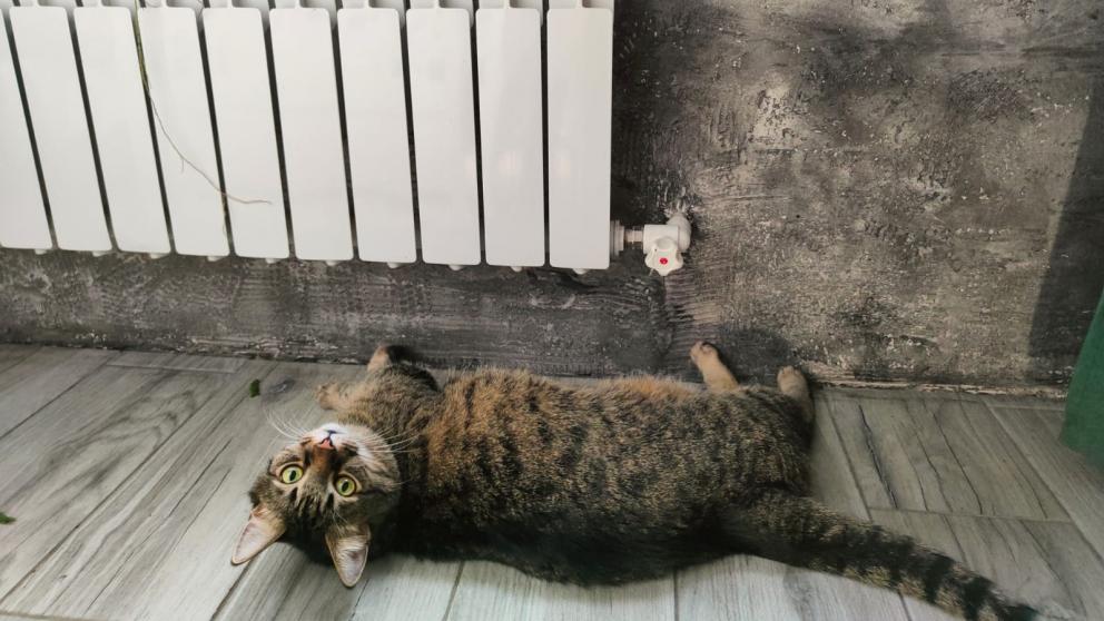 Коммунальщики разъяснили, когда на Ставрополье завершится отопительный сезон 