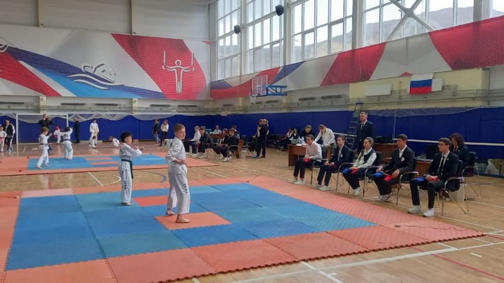 Открытый турнир по тхэквондо прошёл в Кисловодске