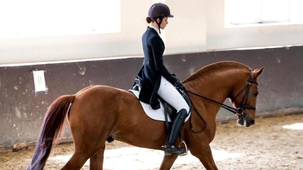 Ставропольские конники стали призерами региональных соревнований