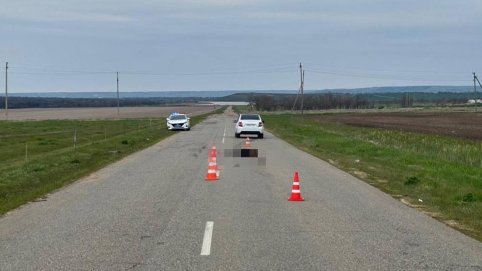 Водитель легкового автомобиля насмерть сбил пешехода в Петровском округе