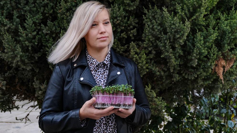 Семья Сергиенко в Михайловске с помощью соцконтракта успешно освоила новое направление в растениеводстве