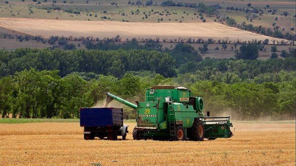 В Новоселицком округе Ставрополья началась уборка зерновых