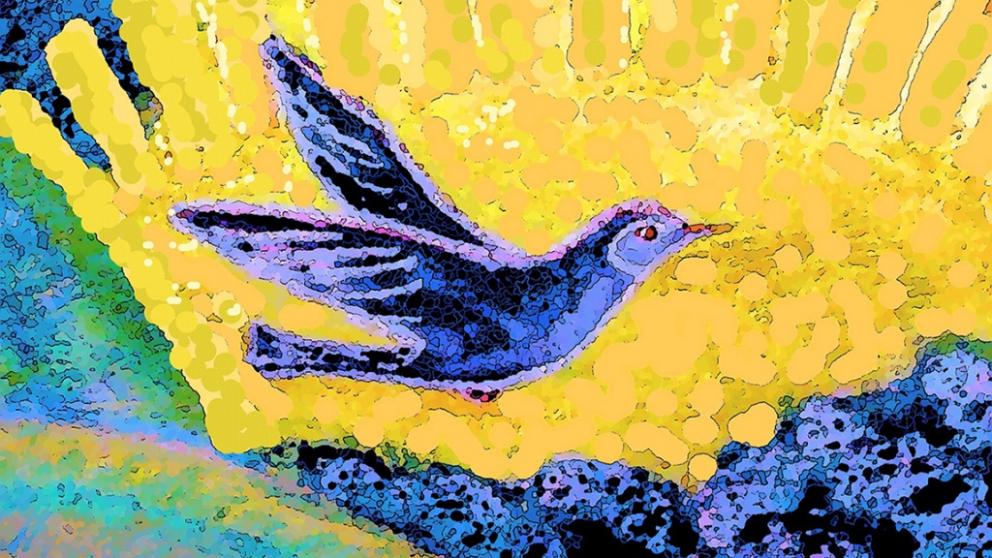 Красоту окружающего мира представит новая выставка в Ставрополе 