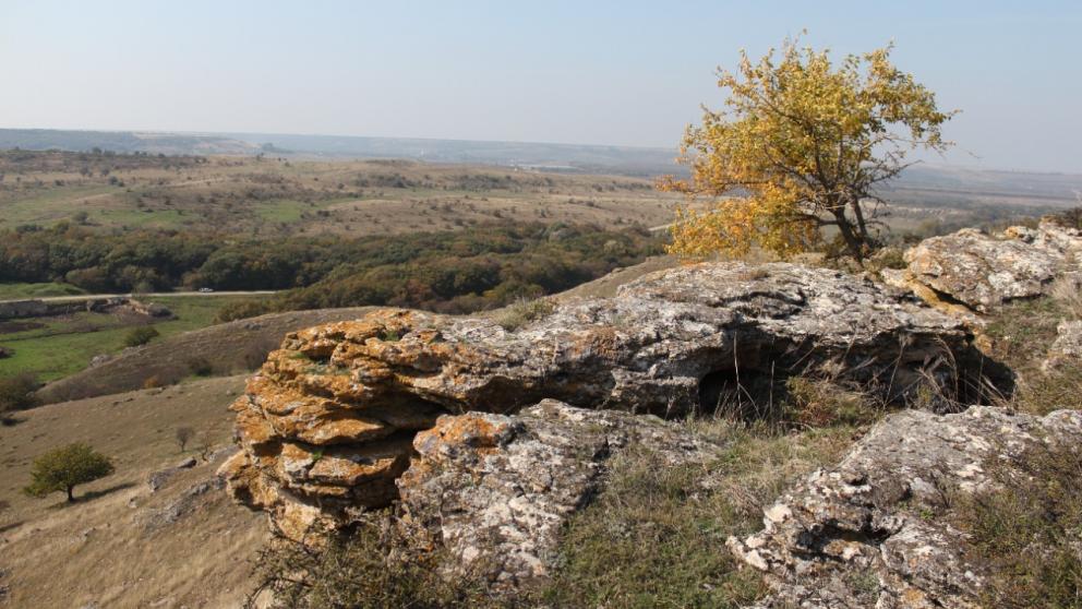 В Изобильненском округе Ставрополья создали природный заказник «Подлужный»