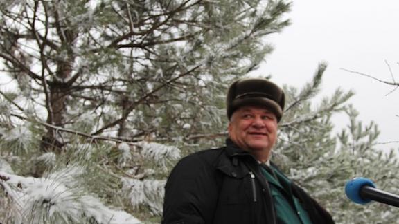 Ставропольские ёлки взяты под усиленную охрану