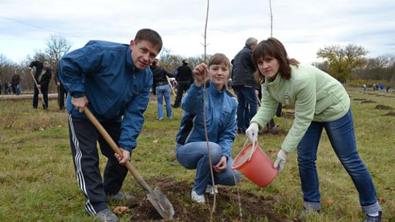 Аллея Славы заложена в селе Александровском к Дню народного единства