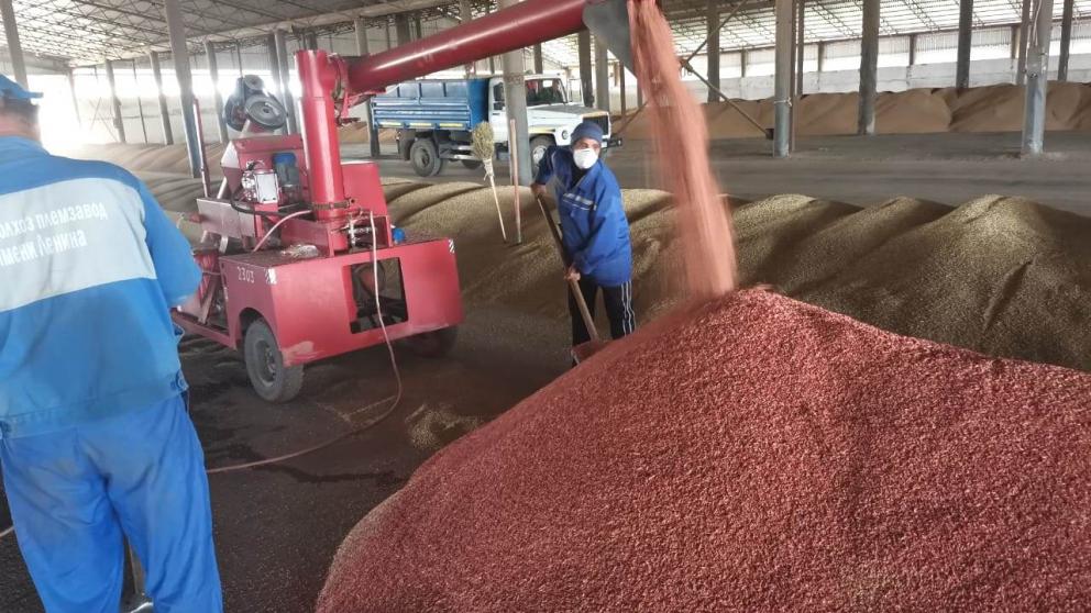 Осенняя посевная кампания на Ставрополье начнётся 25 сентября