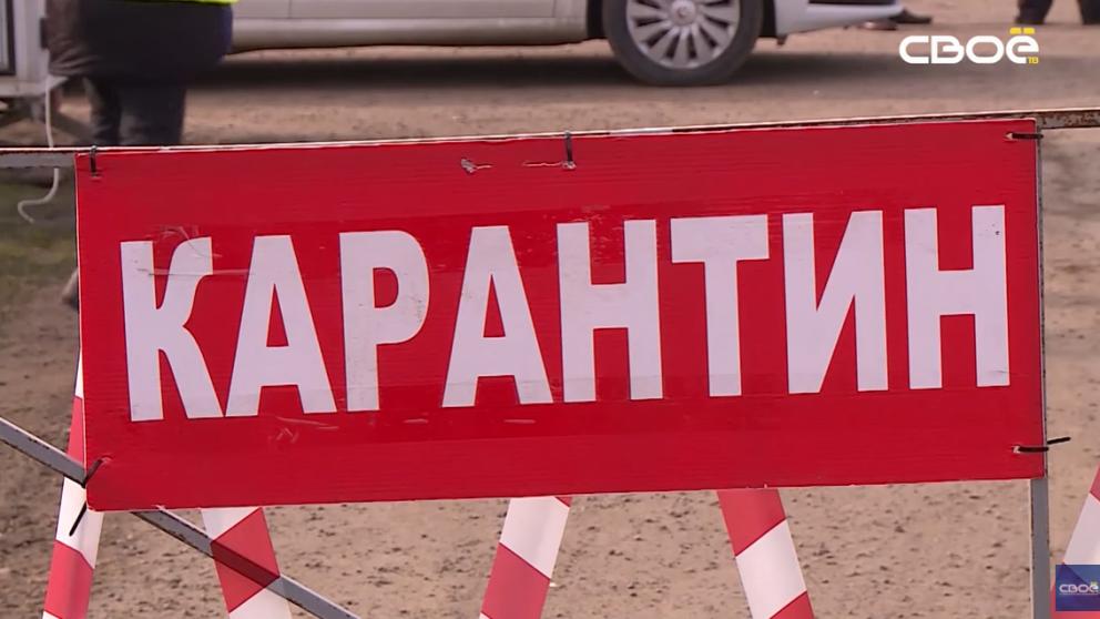 Пострадавшие от птичьего гриппа хозяйства в Изобильненском округе получат компенсации