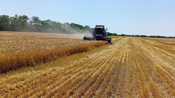 В Грачёвском округе Ставрополья уборочная страда завершилась рекордом