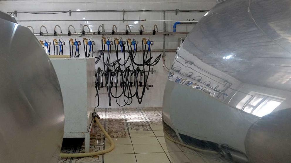 400 тысяч рублей заплатит предприятие в Пятигорске за «неправильную» молочку