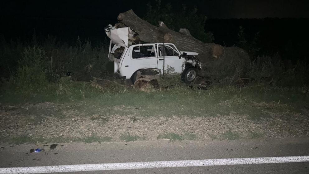 Водитель автомобиля погиб при столкновении с деревом в Кочубеевском округе