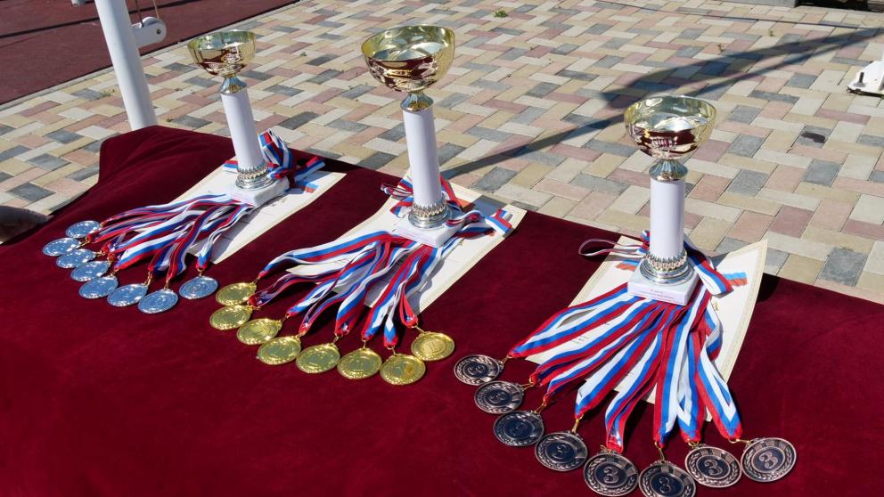 Спортсмены и судьи Кочубеевского округа повысили квалификацию в 2025 году