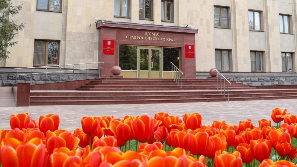 На Ставрополье приняты законы в сфере обращения с животными