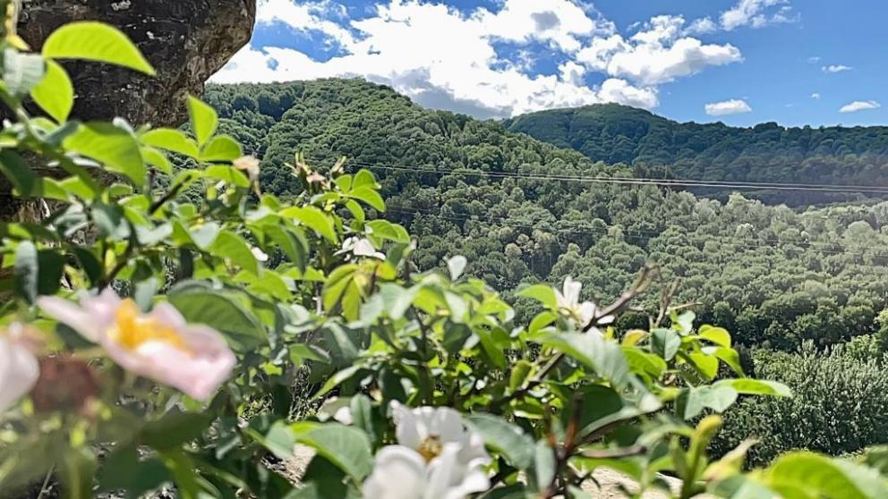 Кисловодск ожидает 450 тысяч туристов