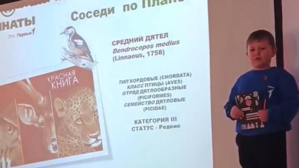 Юный исследователь обнаружил устойчивую популяцию краснокнижного среднего дятла в Кисловодске