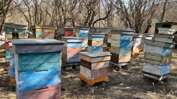 В Предгорном округе начался сезон медосбора