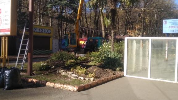 В парке Победы в Ставрополе укрыли от заморозков пальму