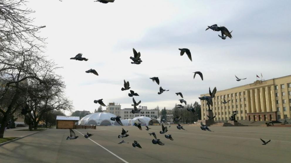 В Ставрополе 2 марта прозвучат учебные сирены