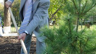 Ставрополь снова самый зеленый город: плюс шесть тысяч саженцев деревьев