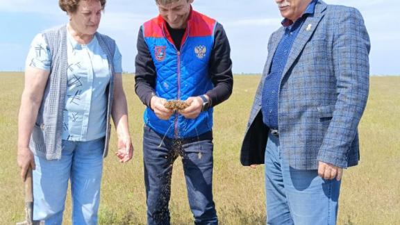 Ставрополье провело совместные с Дагестаном обследования по саранче