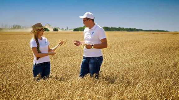 «ЕвроХим» поставит на Ставрополье 350 тысяч тонн минеральных удобрений в 2015 году