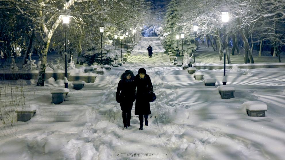 Январская метелица