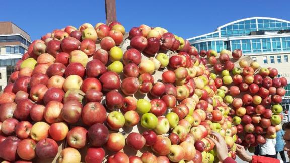 Яблочному слону в Ставрополе вернули былое великолепие