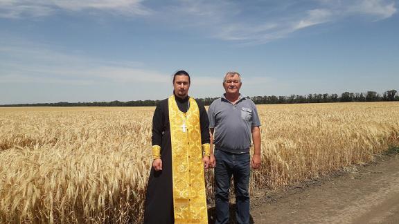 Молились о хлебе в Новоалександровском районе