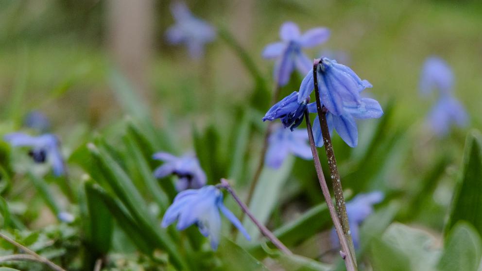 Ставропольцы решили сделать 30 апреля выходным днём