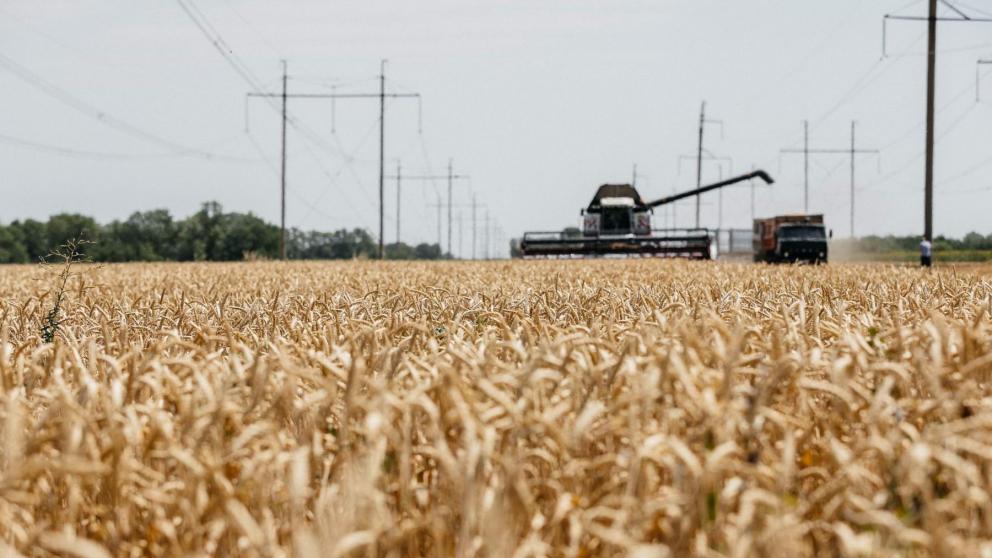 Сбербанк увеличил объемы поддержки АПК на Юге России