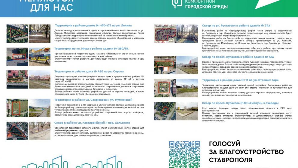 В Ставрополе более 200 волонтёров помогают проголосовать за благоустройство территорий