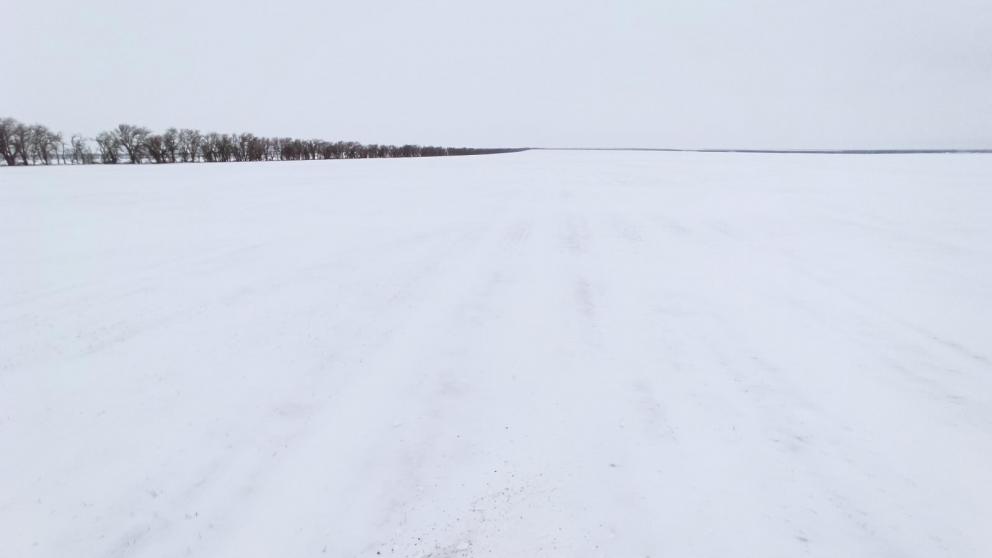 В Арзгирском округе Ставрополья проверили 276,7 тонны семян яровых культур