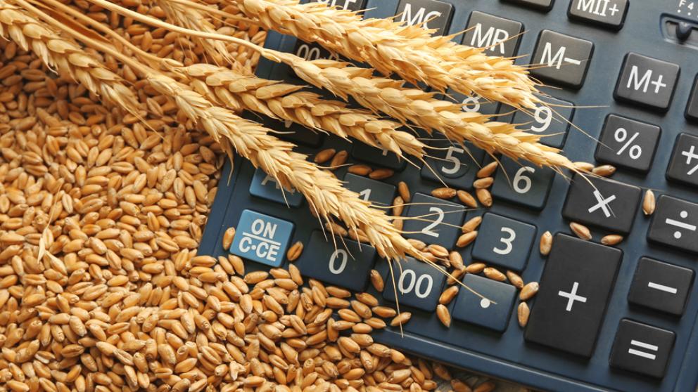 Каждый второй рубль Россельхозбанк выдал АПК по льготной ставке