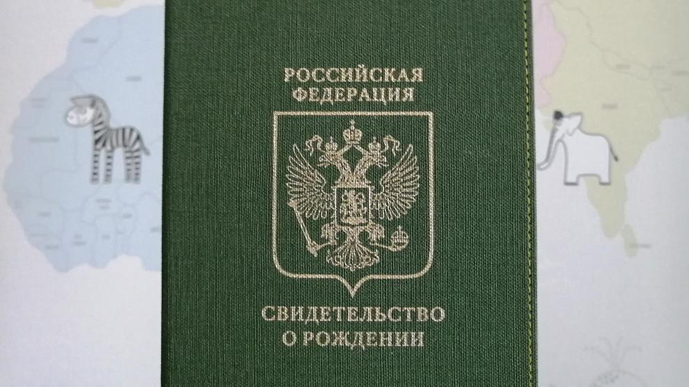 На Ставрополье 25 семей стали родителями двойняшек