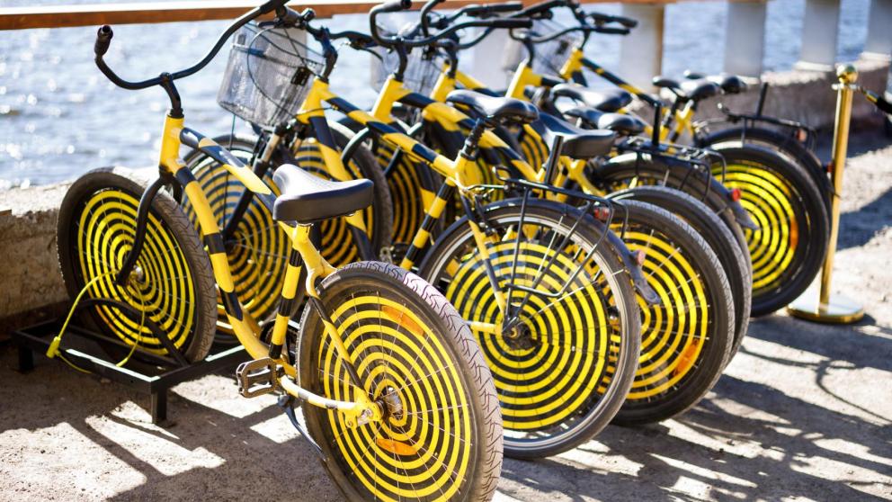 Билайн ускорил мобильный интернет на старте сезона отдыха в Сочи