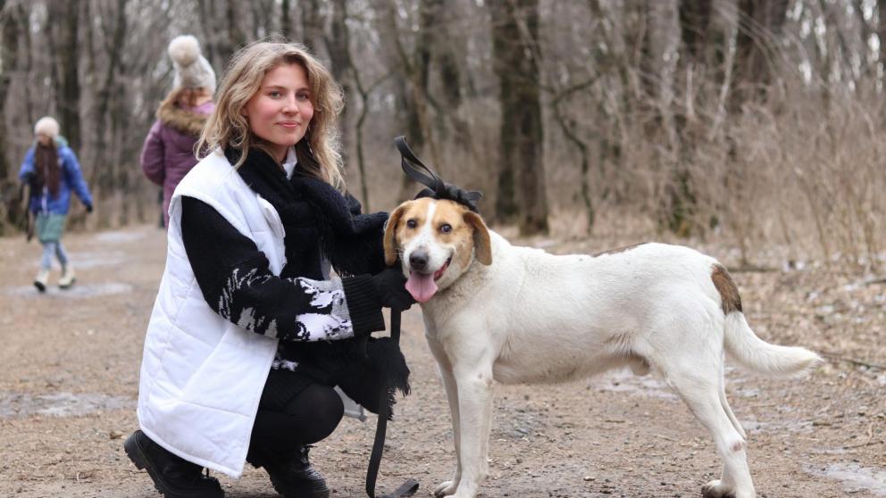 Более 50 килограммов корма передали в приют для животных молодогвардейцы Ставрополя