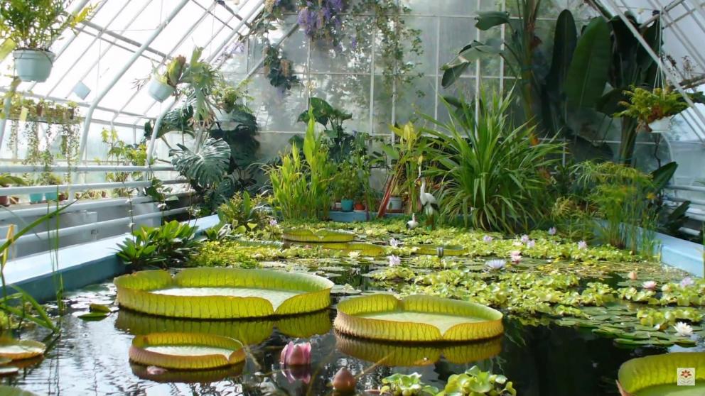 Ставропольская библиотека для слепых представила серию экопутешествий по городским паркам